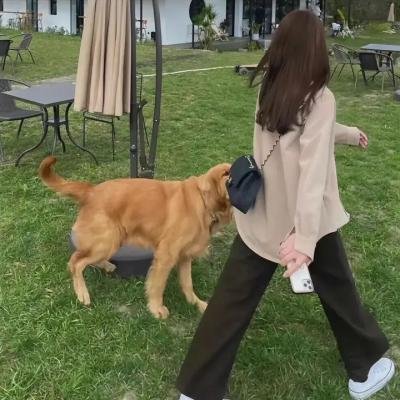 啦啦队的反击
